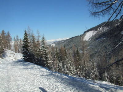 Bild 54 aus  Sportbauernhof Hochalmblick