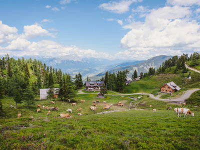 Bild 2 aus  Galsterbergalm - Jagdhütte