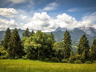 Bild 15 aus  Maierlehen