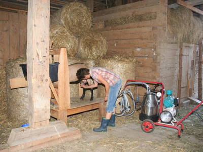 Bild 102 aus  Kaspergut