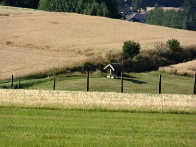 Bild 58 aus   Pammer - Jahn