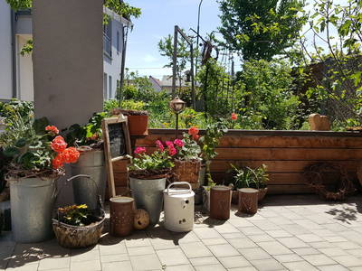 Bild 12 aus  Bio Weinbauernhof Wiesinger