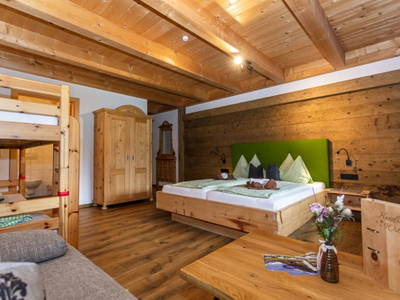 Bild 116 aus  Enzianhütte im Habachtal
