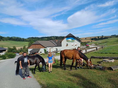 Bild 110 aus  Reiterhof Pfleger
