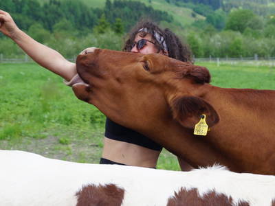 Bild 22 aus  Meissnitzerhof