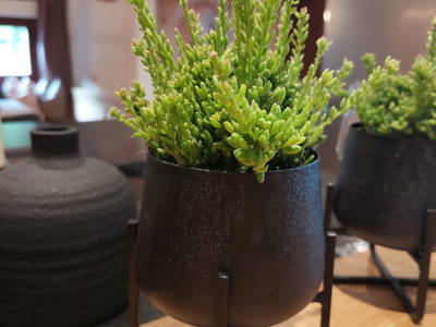 Bild 26 aus  Chalet Aignerhof