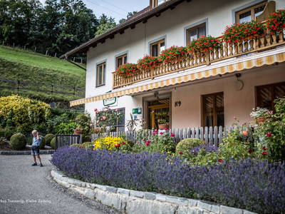 Bild 2 aus  Gourmetbauernhof Mentebauer