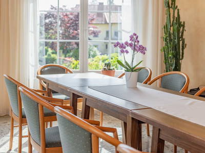 Bild 217 aus  Pleschinhof