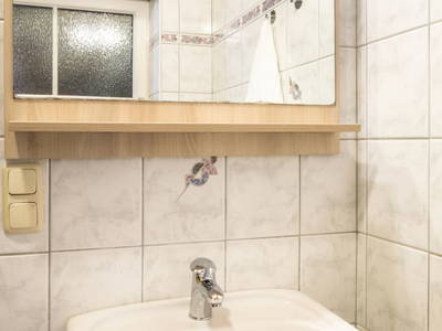 Bild 88 aus  Reitlhof am Sonnenhang   Bio-Bergbauernhof bei Salzburg 