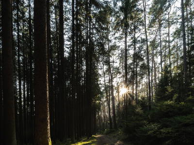 Bild 22 aus  Ferienhäuser Zur Schäferei