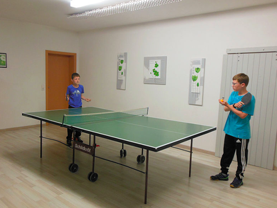 Bild 31 aus  Ferienhof Siber