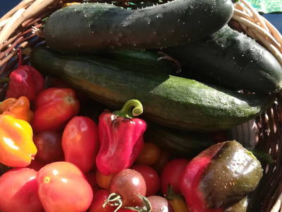 Bild 48 aus  Anderlbauer