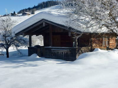 Bild 28 aus  Grafengut