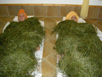 Bild 32 aus  Verwöhnbauernhof im Mühlviertel