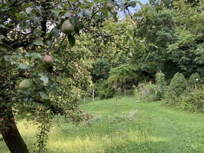 Bild 19 aus  Kräutlhütte Auer