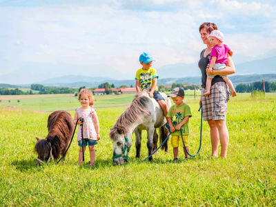Bild 41 aus  Panoramahof