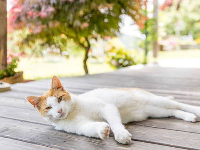Bild 19 aus  Weberhof
