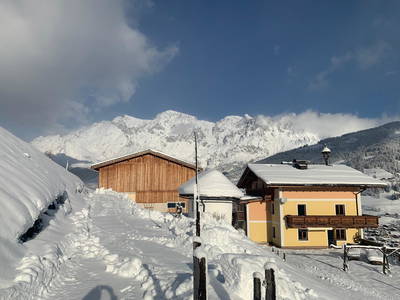 Bild 37 aus  Brennergut