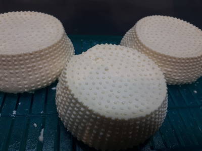 Bild 73 aus  Biohof Stadlbauer