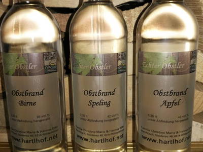 Bild 81 aus  Hartlhof Urlaub am Baby- und Kinderbauernhof