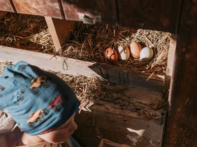 Bild 18 aus  Gasperhof