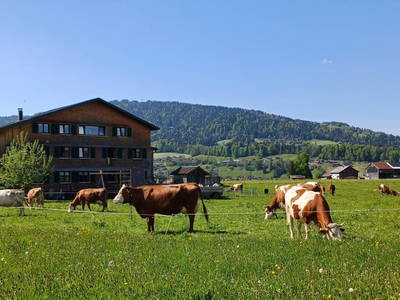 Bild 16 aus  Ferienhof Feurstein