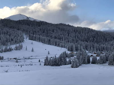 Bild 39 aus  TANAs Almhütte