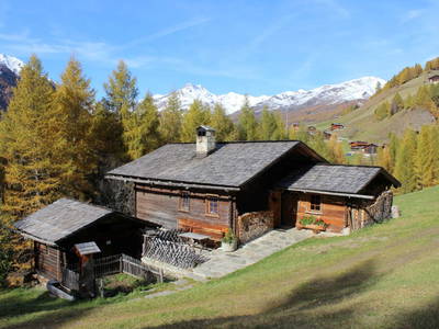 Bild 48 aus  Almerlebnisse Messner