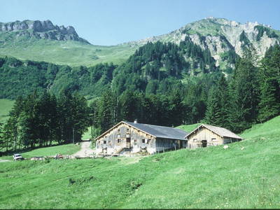 Bild 30 aus  Bauernhof Schneider