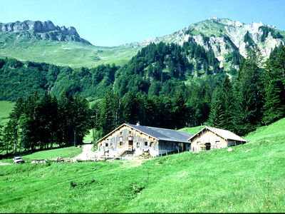 Bild 19 aus Bauernhof Schneider