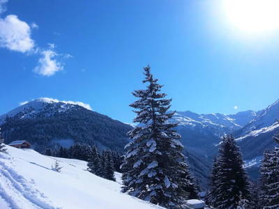 Bild 80 aus  Floachhof