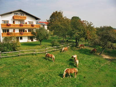 Bild 2 aus  Wolf-Hof