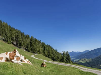 Bild 163 aus  Hagerhof