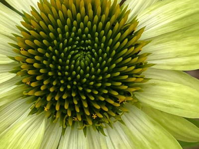 Bild 16 aus  Ascherhof