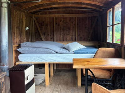 Bild 5 aus  Sommerkino - Schäferhütte