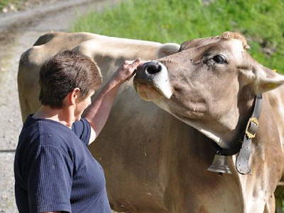 Bild 25 aus  Hof Erath