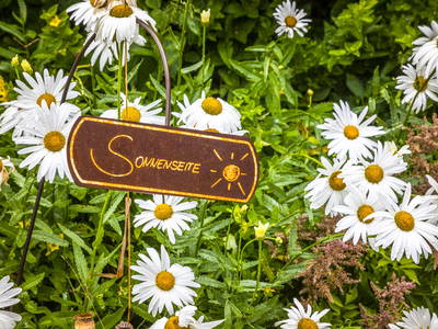 Bild 20 aus  Untermoos