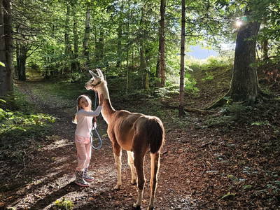 Bild 95 aus  Pfleger Ranch am Schönegg Gut