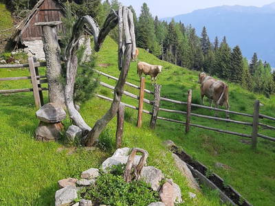 Bild 81 aus  Tröbacheralm Hütte & Göriacheralm Hütte 