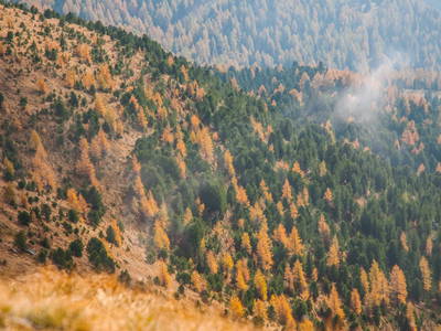 Bild 131 aus  Biohof Seidl