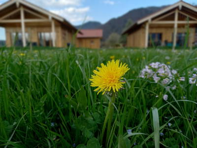 Bild 2 aus  Niederauer Hof