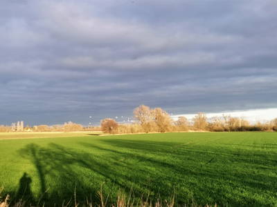 auch hier - Schnappschuß