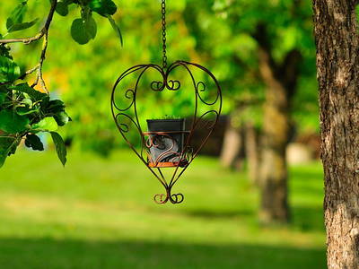 Bild 27 aus  Ferienhof Gögelein