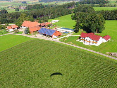 Bild 14 aus  Allgäu Bergferienhof