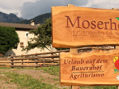 Bild 2 aus  Moserhof