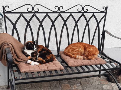 Bild 7 aus  Taffenreutherhof