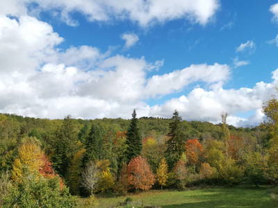 Bild 31 aus  Le Colombié - Ferienhäuser an der Dordogne mieten