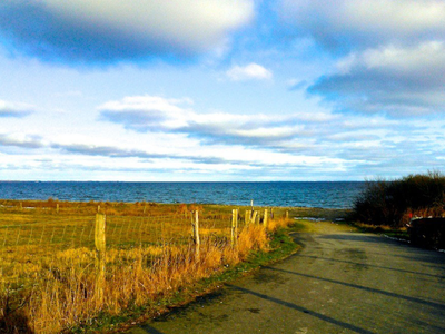 Bild 5 aus  Ferienhaus Falshöft
