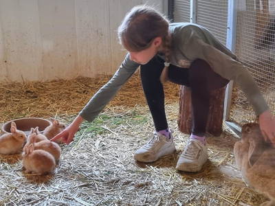 Bild 21 aus  Hof  Wesselmann