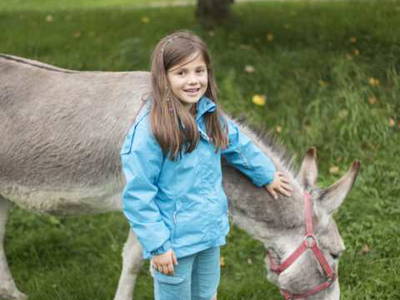 Bild 10 aus  Gerwenshof